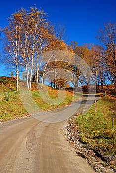 A country lane travels through forests shedding their autumn colors