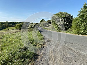 Country lane, with trees, fields, and a blue sky in, Thornton, Bradford, UK