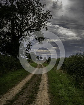 Country lane with vehicle access.