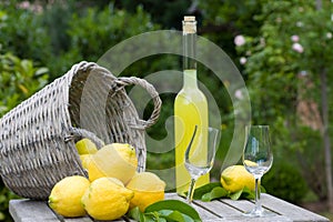 Country live, with limoncello photo