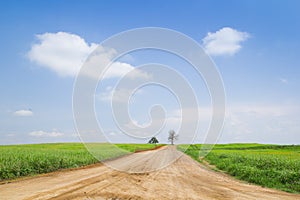 Country Meadowns in sky