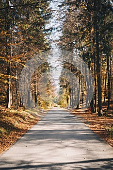 Country mountain road in Carinthia, Austria during autumn