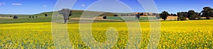 Country NSW farmland panorama