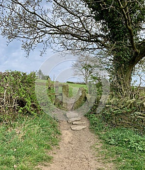 Country path with Stile