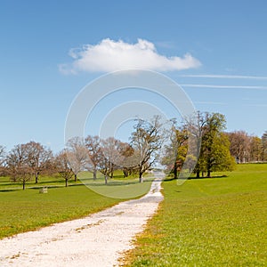 Country Pathway