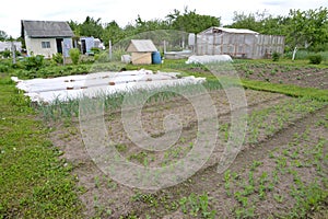 Country plot with garden and household buildings. Spring