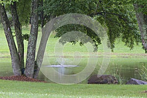 Country Pond and Fountain