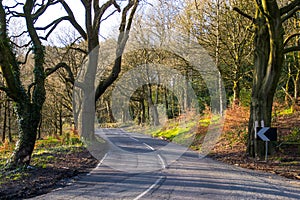 The country road.