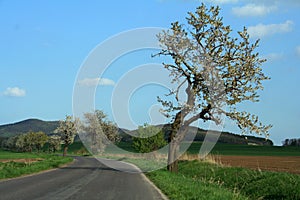 Country road