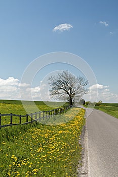 Country Road