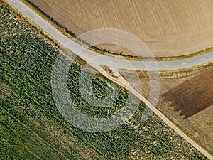 Country road between agricultural fields