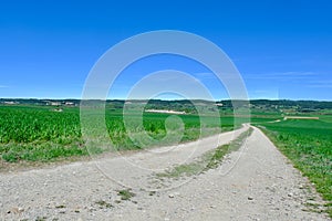 Country road between agricultural fields of vivid green colours at spring in Huesca province, Aragon, Spain. Concepts of way, path