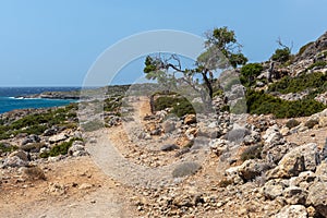 Country road along coastline on Crete island, Greece