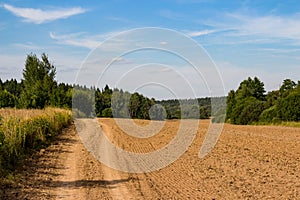 Country road along the edge of an agricultural field after plowing, rural landscape with cirrus clouds