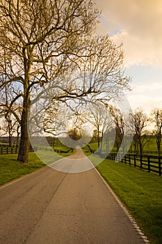 Country road along the horse farms at sunset