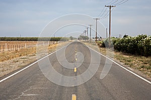 Country road along plantation