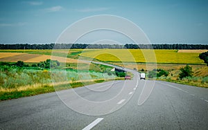 Country road amidst well-tended agricultural fields