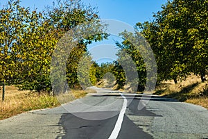 Country road, asphalt street between autumn trees