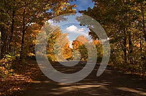 Country road in autumn