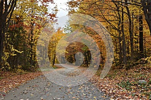 A country road in autumn photo