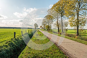 Country road in Belgium