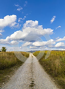 A country road with a blue sky in Romania