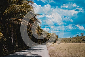 Country road and blue sky in Thailand with vintage color filt