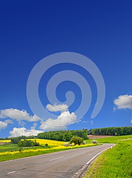 Country road through canola field and blue sky