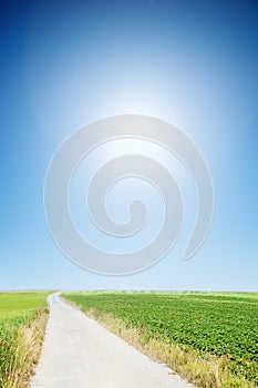 Country road with cloudless sunny sky photo