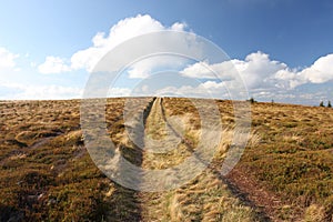 Country road in the clouds