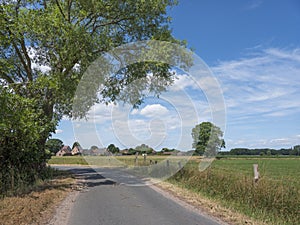 Country road and cornfield north of antwerp in belgium