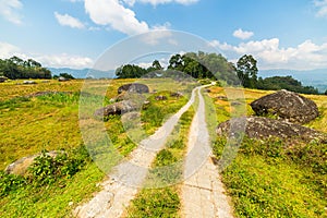 Country road crossing rice paddies