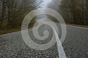 A country road curve with white lines of markings in an autumn forest. Asphalt road and forest in the fog. Mysterious