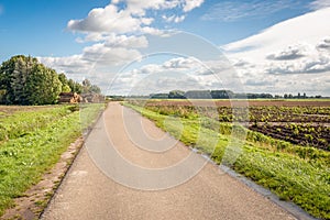 Country road in a Dutch polder
