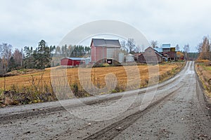 Country road, edge of the field and agriculture. Cloudy, autumn day.