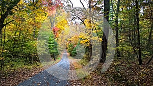 Country Road in Fall