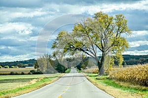 Country Road, Fall, Corn Fields