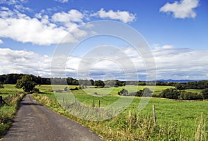 Country road through farm land