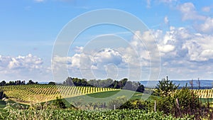 Country road through farm land and rolling hills