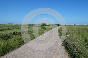 Country road through farmland with a clear blue sky above photo