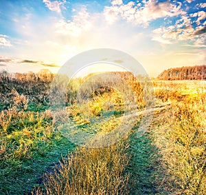 Country road in field with yellowing grass