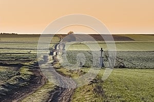 Country road through fields in the Polish countryside