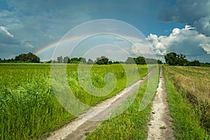 Country road in the fields and rainbow in the sky, Nowiny, Poland