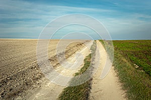 Country road through fields and white clouds on the sky