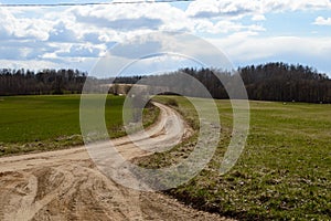 country road in forest