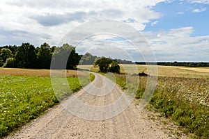 country road in forest