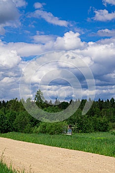 Country road in the forest and blue sky with clouds in Latvia in summer.