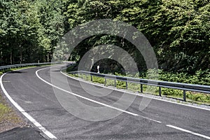 Country road in the forest concrete with speed limit signs of 50 km hour sunny day