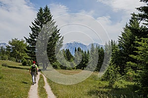 Country road in forest. Summer traveling in mountains. hiking trail between trees. Hiker with backpack walking