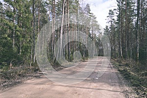 country road in forest - vintage old look